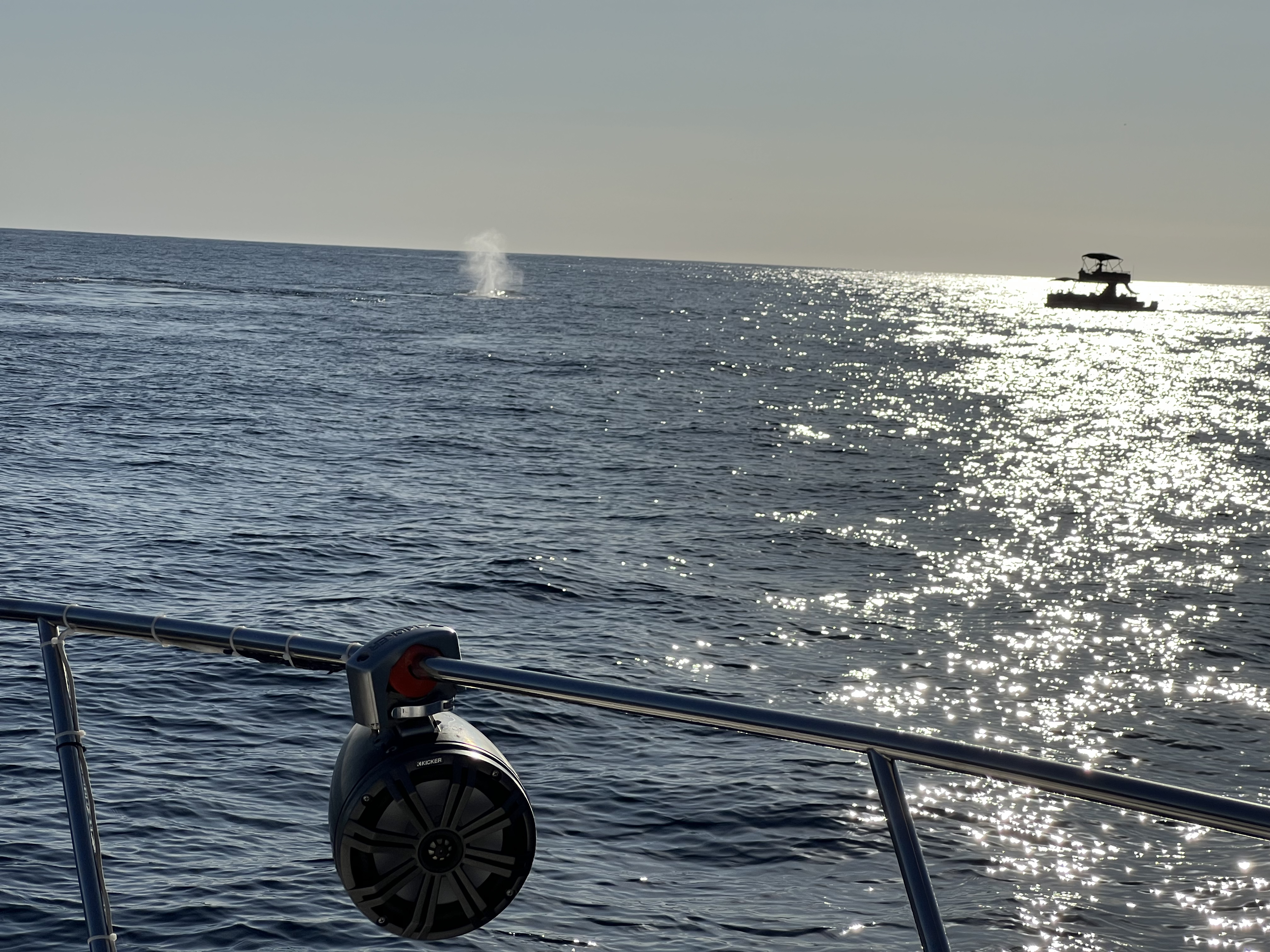 ./2024/13 - Cabo/IMG_4688.jpg